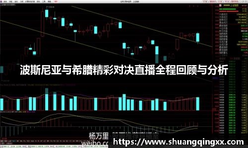 波斯尼亚与希腊精彩对决直播全程回顾与分析